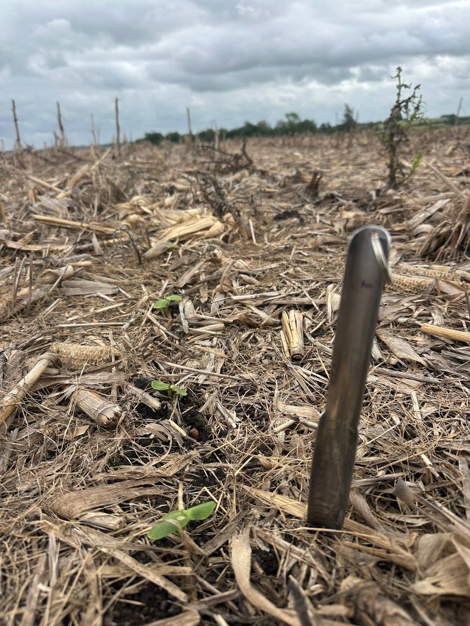 Agroinsumos